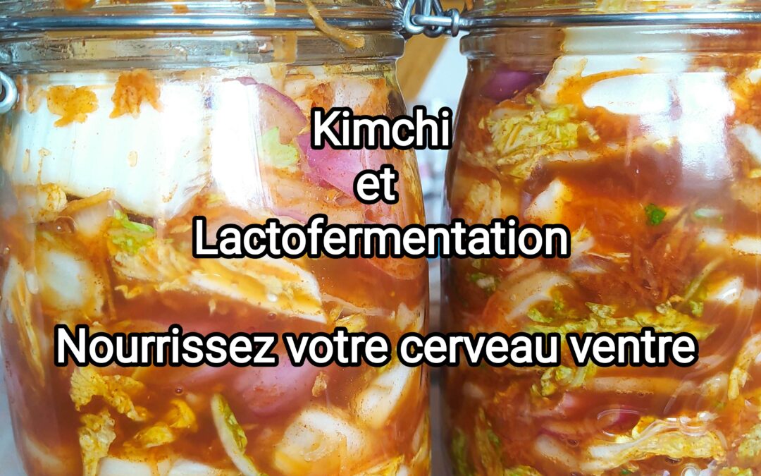 Kimchi et lactofermentation
