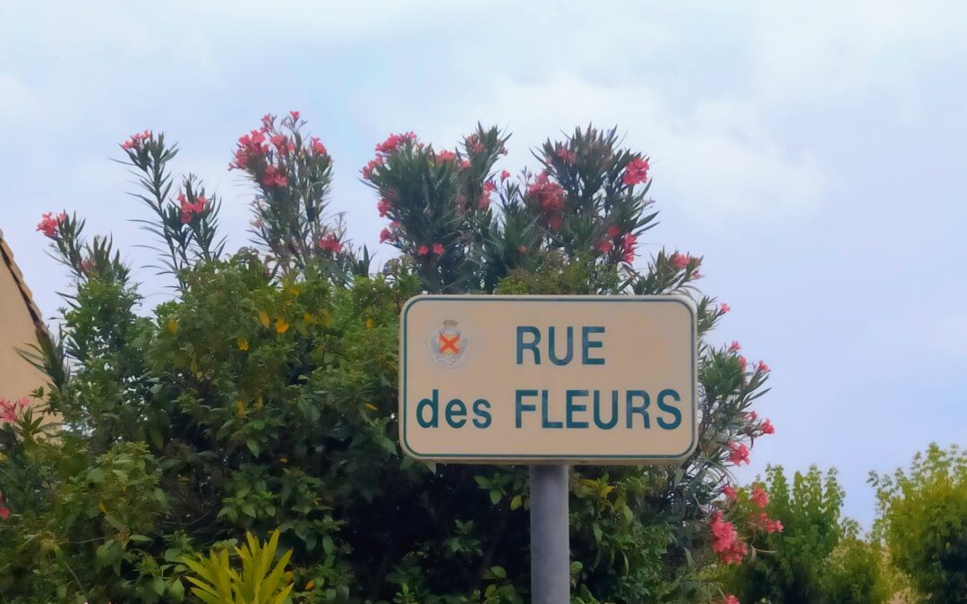 Floressence : naissance d’un nouveau compte fleurit