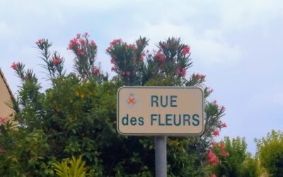 Floressence : naissance d’un nouveau compte fleurit